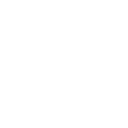 Metaverse